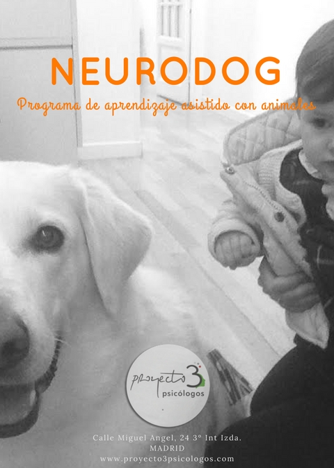 Neurodog
