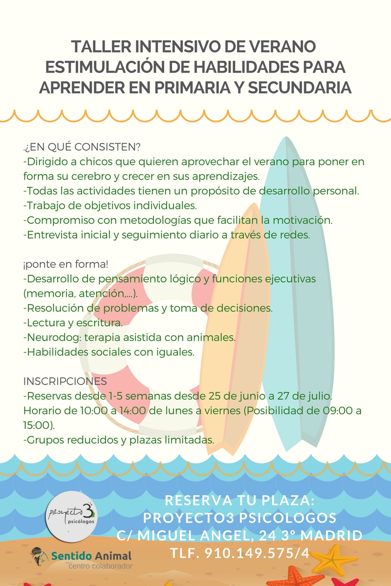 Campamento verano
